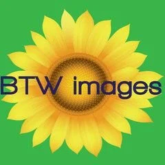 Btw Images