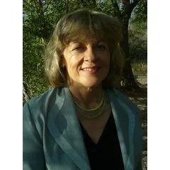 Patricia Waldygo Paintings
