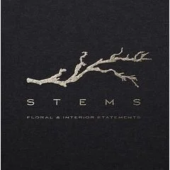 Stems - Floral & Interior Statements