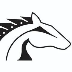 Saw Horse Construction