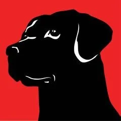 Blackdog Design Build Remodel