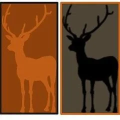 Fire Elk Enterprises, Llc