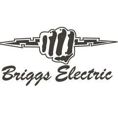 Briggs Electric