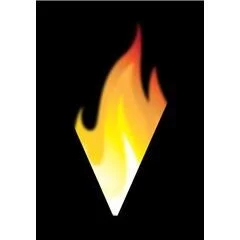 Energy Savers Fireplaces
