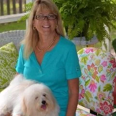 Somerset Designs Co