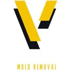 Vanguard Mold Removal