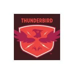 Thunderbird Custom Design