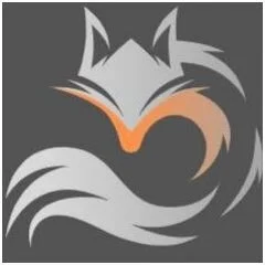 Silver Fox Construction Services