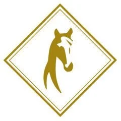 Thoroughbred Custom Homes