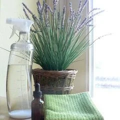 Detailed Cleaning
