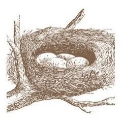 Burrow & Nest