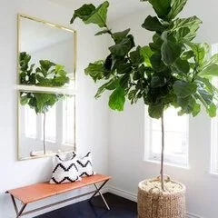 Erin Kane Interior Design