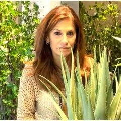 Susan Glick Interiors