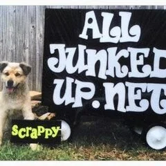 All Junked Up A Junk Removal Company