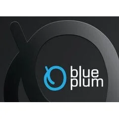 Blue Plum