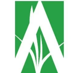 Angie Verge Landscape Design