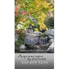 Aquascape By Blue Creek