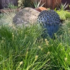 Argia Designs Landscape Design & Consultation