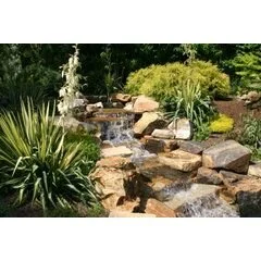 Budding Branch Landscape & Design