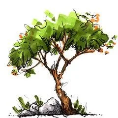 Canopy Gardens