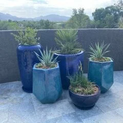 Green Side Planting Design And Maintenance