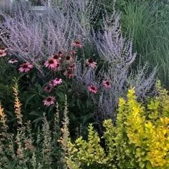 High Desert Designs, Llc