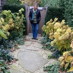 Hotbotany