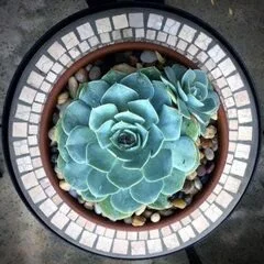 Liz Hendry Garden Design