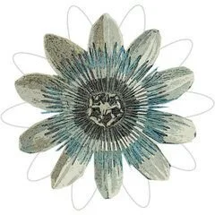 Medicine Wheel, Llc