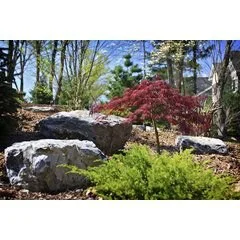 Mountain Road Landscaping
