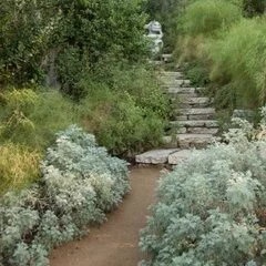 Native By Design Landscapes