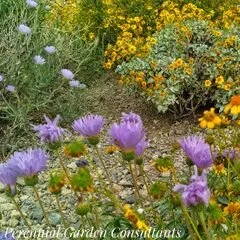 Perennial Garden Consultants