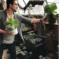 Plant Group