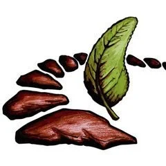 Sage And Stone Llc