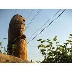 Solstice Landscape Design