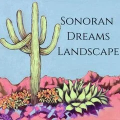 Sonoran Dreams Landscape Llc