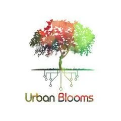 Urban Blooms