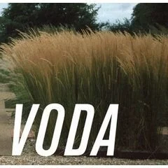 Voda Landscape + Planning