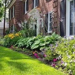 Andrea'S Gardening