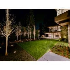 Britescape Lighting & Landscaping