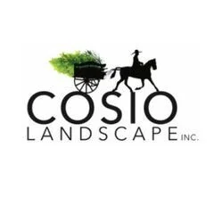 Cosio Landscape