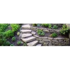 C&T Landscape Maintenance & Installation Co.