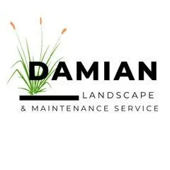 Damian Landscape & Maintenance Service Llc