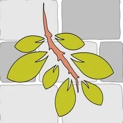 D'Urso Landscaping And Construction, Inc.