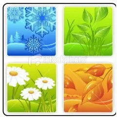 Four Elements Landscape & Outdoor Living
