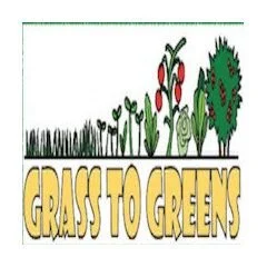 Grass To Greens