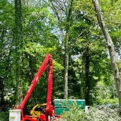 Greenleaf Tree Service