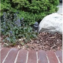 Landscape Craftsmen Llc