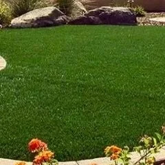 Payless Landscape & Irrigation Services, Llc