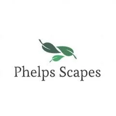 Phelps Scapes Llc